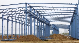 Steel structure plant 